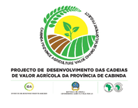 Imagem do projeto
